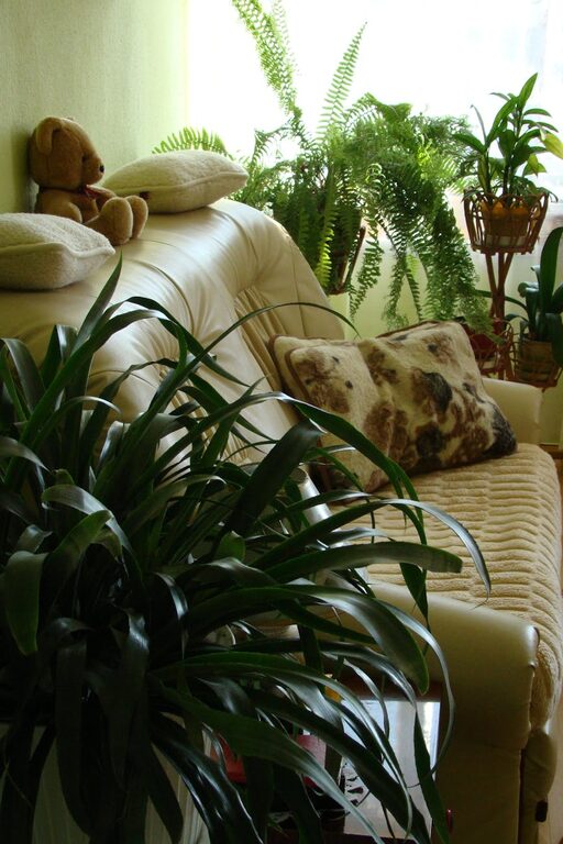 Affordable Ways to Create a Cozy and Inviting Living Room